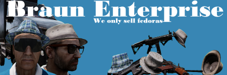 Braun enterprise.png