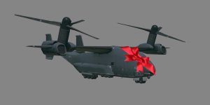 V-33_Blackfish gift.jpg