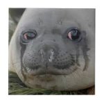pls help.jpg