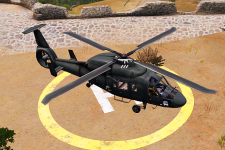 Black Orca Birds Eye View.png