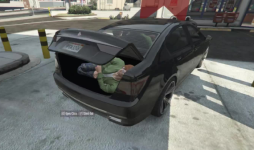 hide in trunk.png