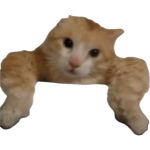 1750616707598.png