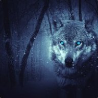 ShaunTheWise