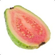 Guava