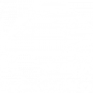 WelshWolf