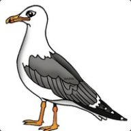 SexySeagull
