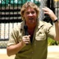 Steve irwin