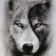 Wolf222