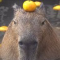MangoOnHead