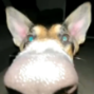 Swiftynoofty