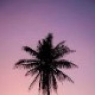 shubzy_678