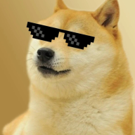 S|N