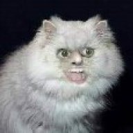 Catmeat
