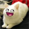 Tiiwutus
