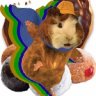 diabeticguineapig