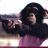 I Pwn Noobs