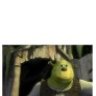 eggism