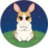 RaginRabbit_OLD