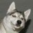 Eivind